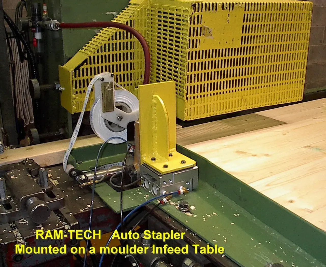 CHECK OUT MY WEB SITE